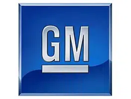 GM BCM 13578420  VİRGİN DUMP