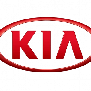 KIA RİO AİRBAG 95910-1G150 DUMP