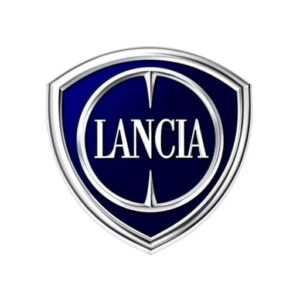 lancia ypsilon iaw 5sf8.mg 51891835 5019y24 vi̇rgi̇n dump