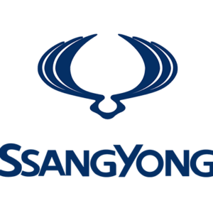 SSANGYONG  ACTYON DCM3.2AP A6645404432 28091032 NCA36B04 DUMP