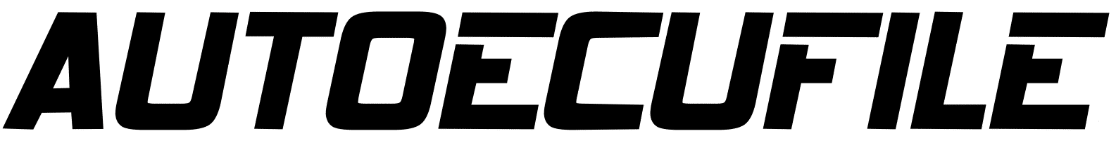 AutoEcuFile