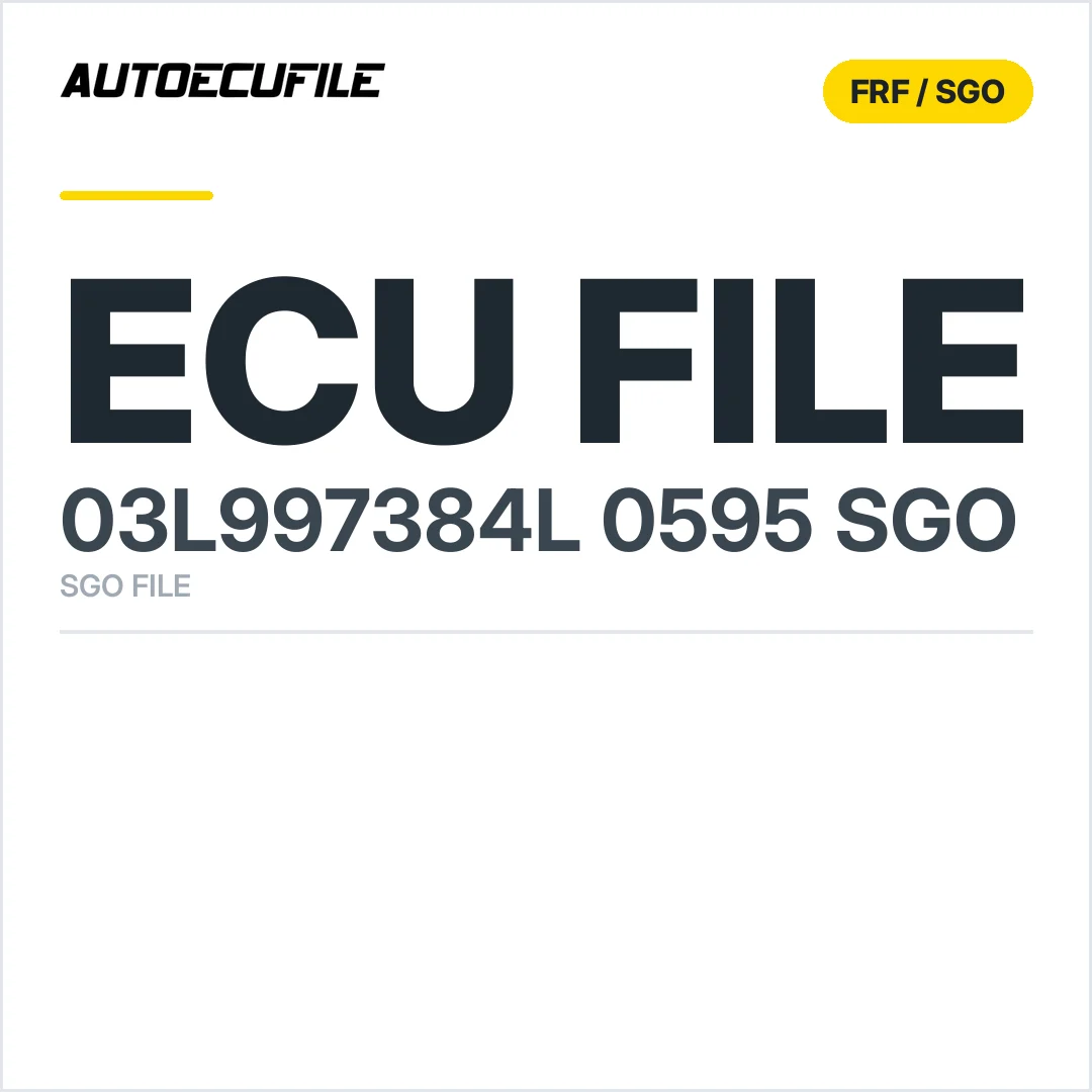 03L997384L  0595 SGO FILE