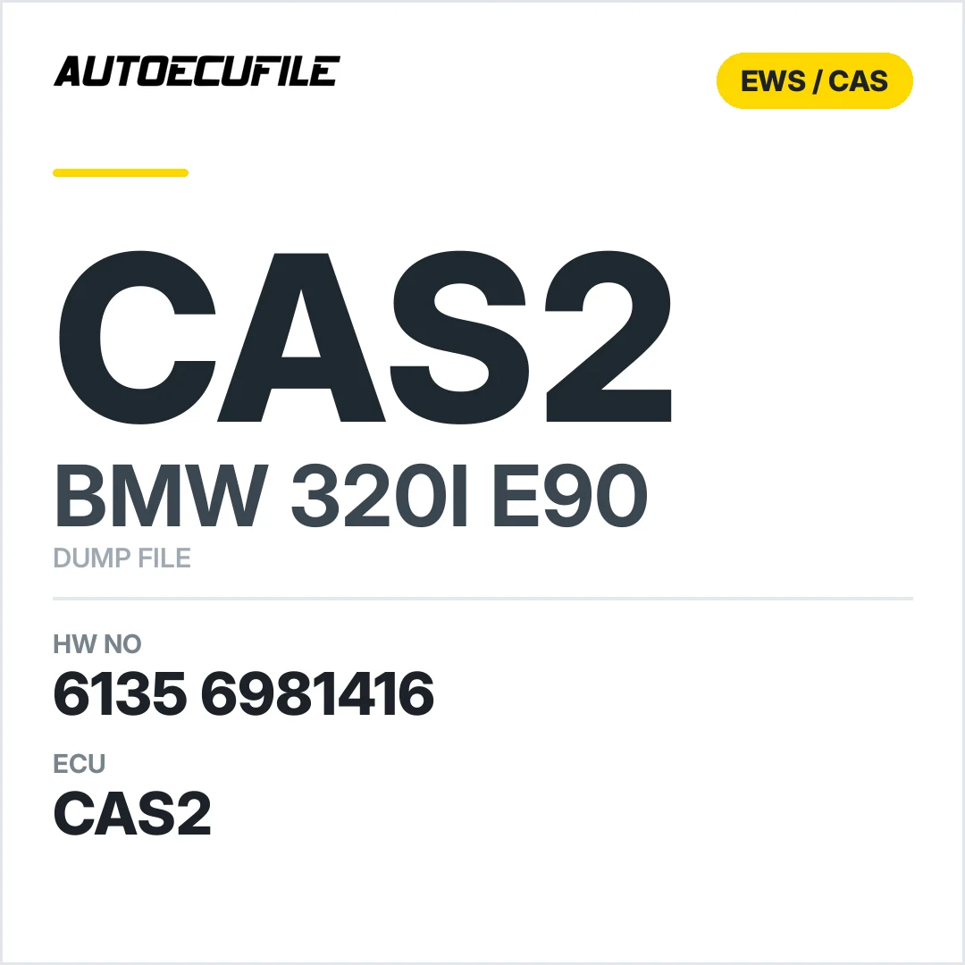 BMW 320I E90 CAS2 6135 6981416  DUMP