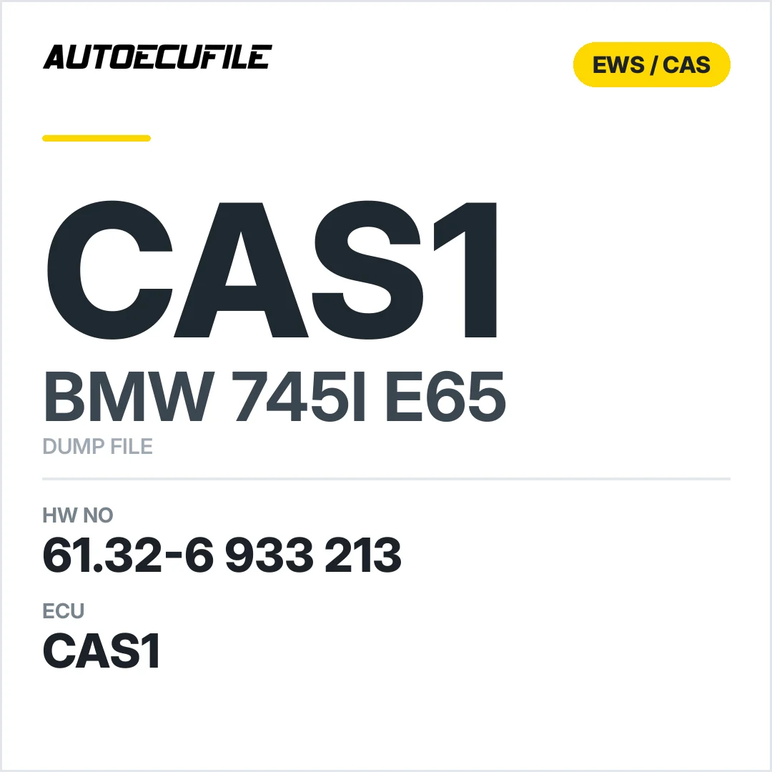 BMW 745I E65 CAS1 6132 6933213 DUMP