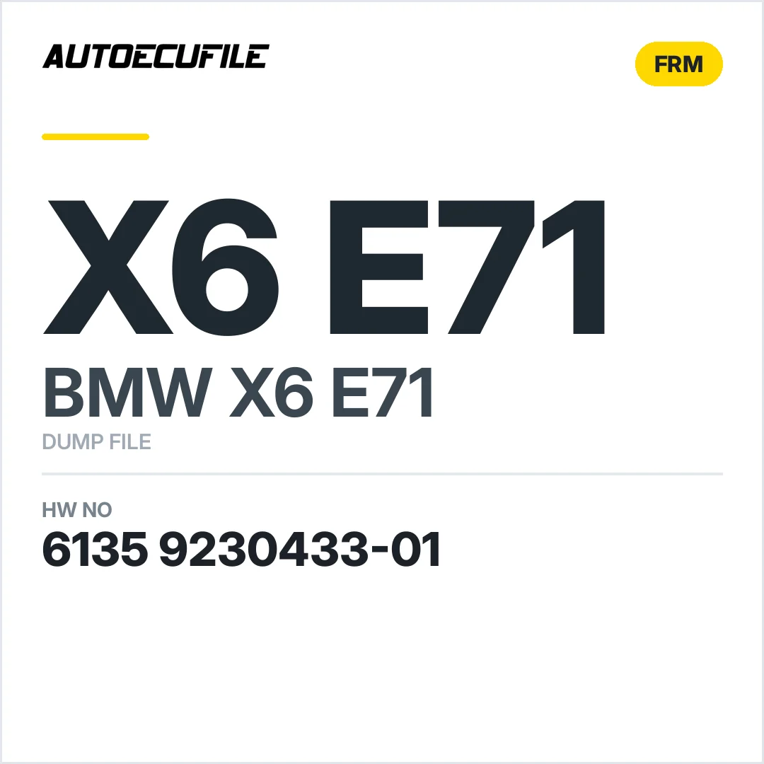 BMW X6 E71 FRM 6135 9230433-01 DUMP
