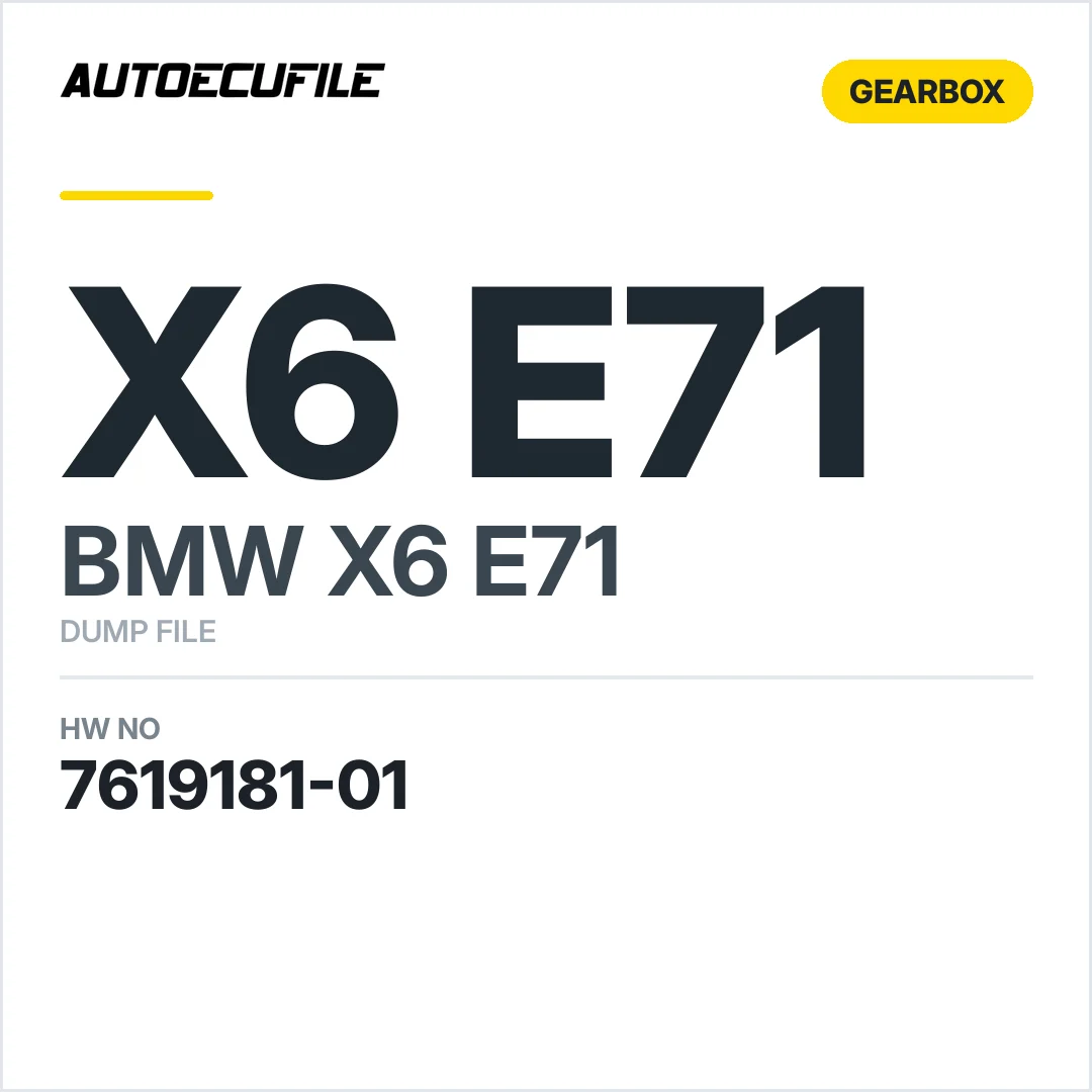 BMW X6 E71 VTG 2760 7619181-01 DUMP