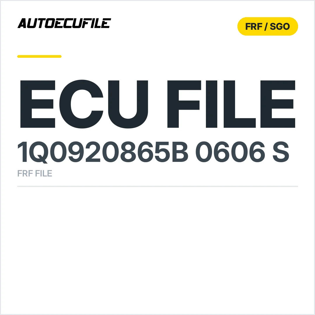 1Q0920865B  0606 S FRF FILE