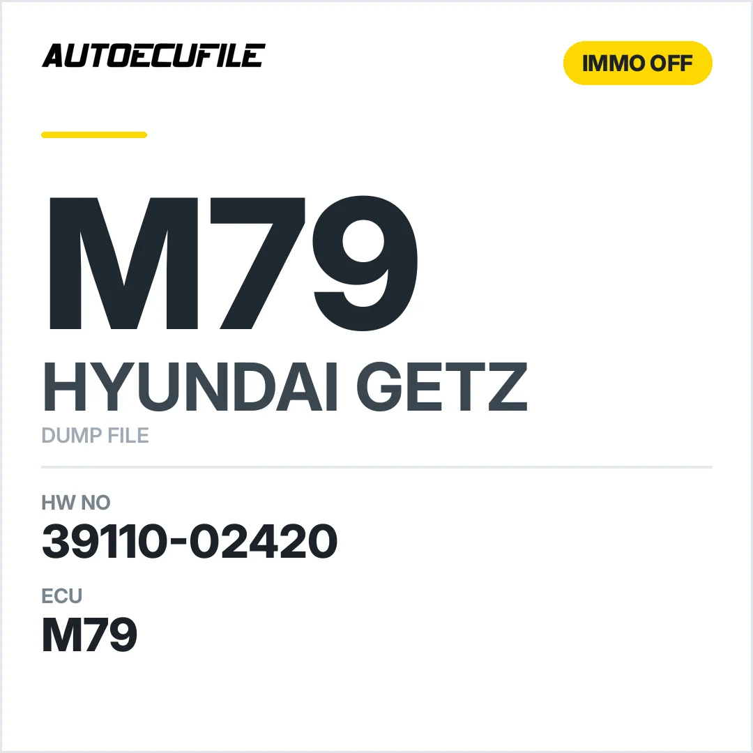 HYUNDAI GETZ M79 39110-02420 903093266F IMMO OFF DUMP