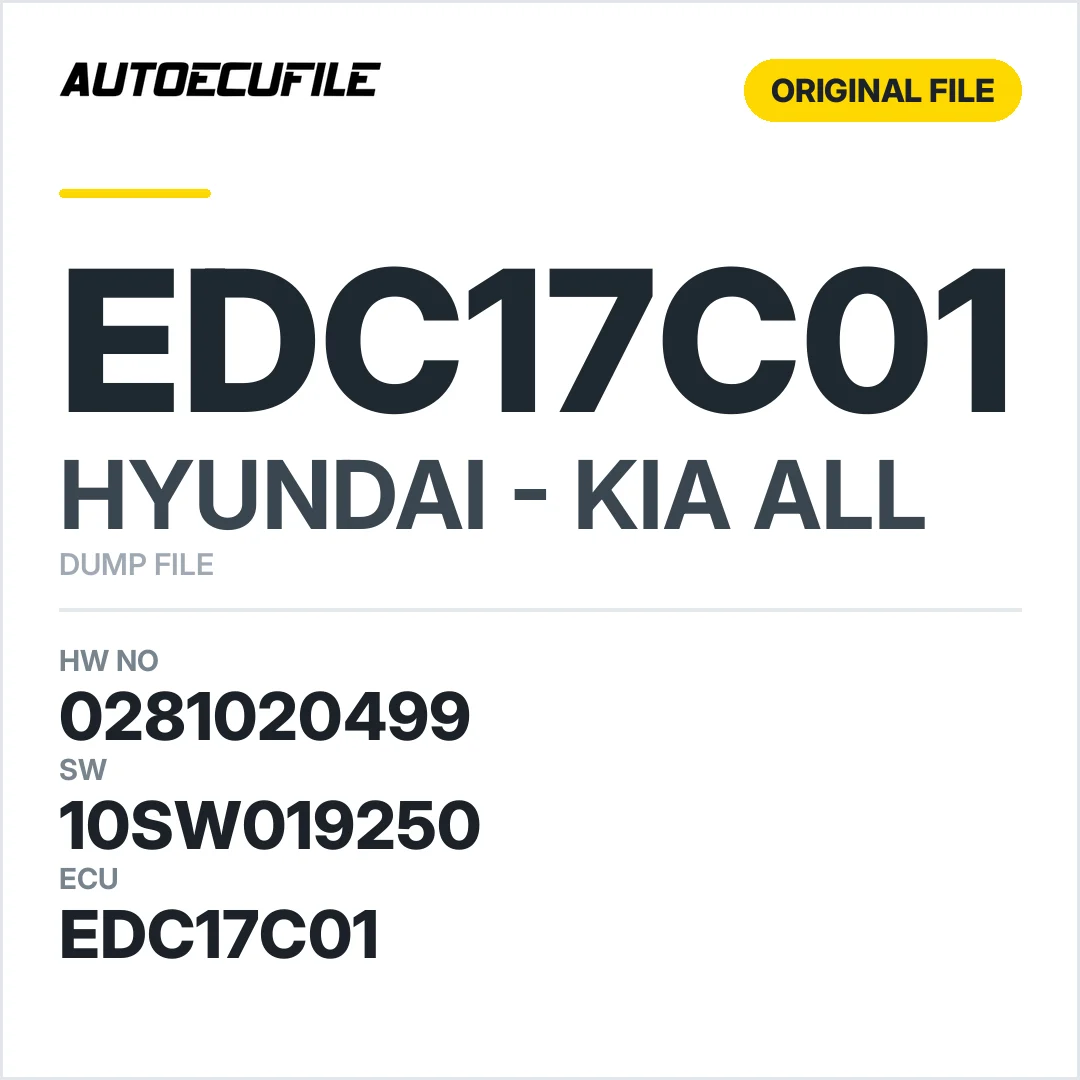 HYUNDAI  KIA EDC17C01 0281020499 10SW019250 DUMP