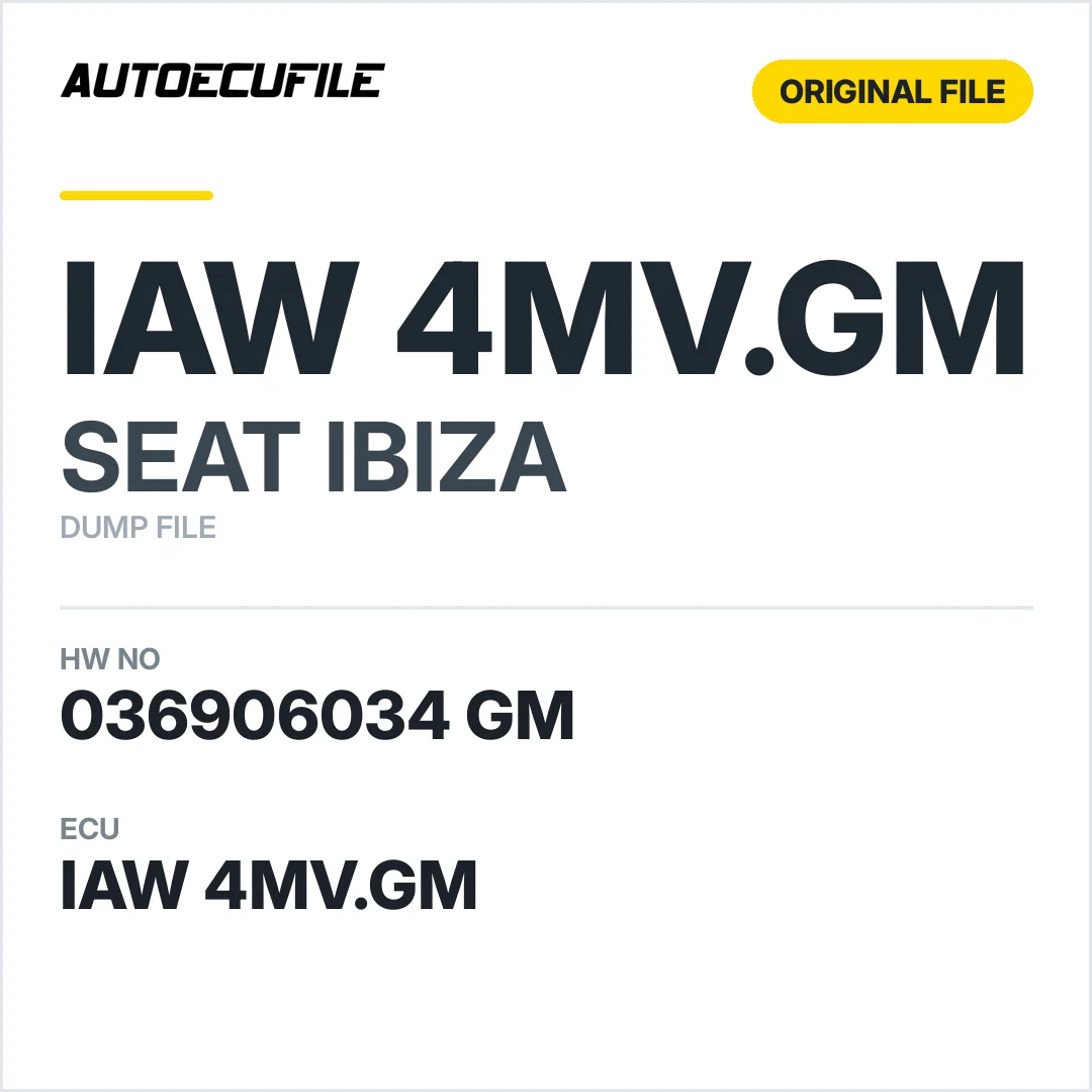 SEAT IBIZA IAW 4MV.GM 036906034 GM DUMP