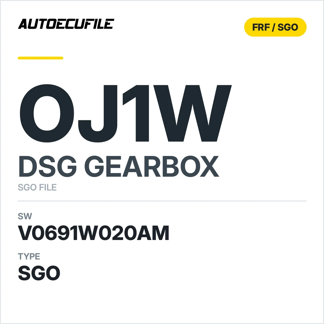 v0691w020AM   getriebe DSG OJ1w sw SGO FILE