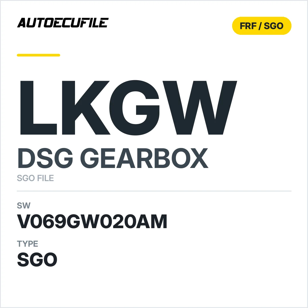 v069GW020AM   getriebe DSG LkGW sw SGO FILE