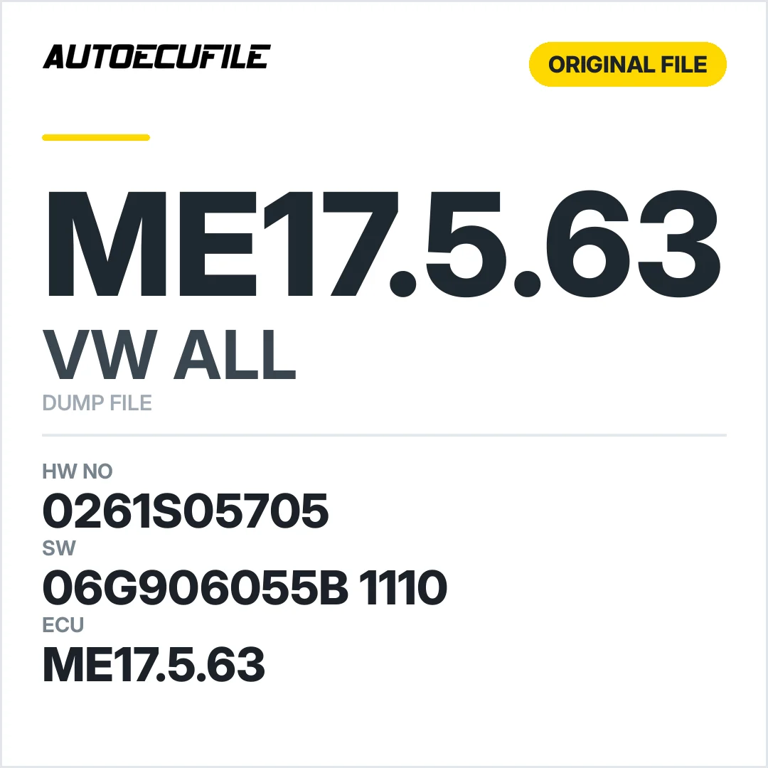 VW ALL ME17.5.63 06G906055B 1110 1037518972 DUMP