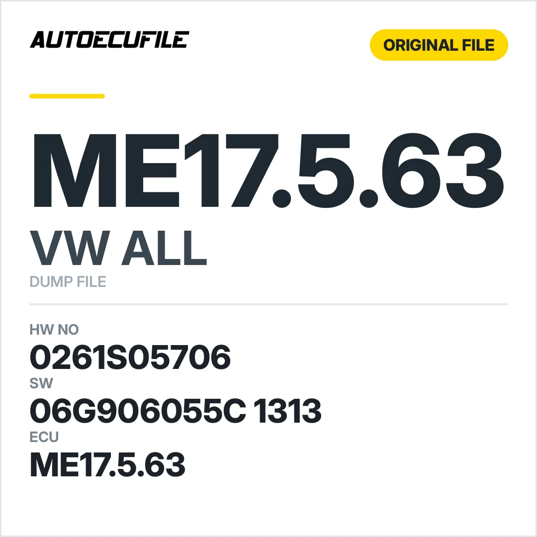 VW ALL ME17.5.63 06G906055C 1313 1037541681 DUMP